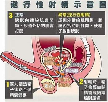 timg_看图王(1).jpg
